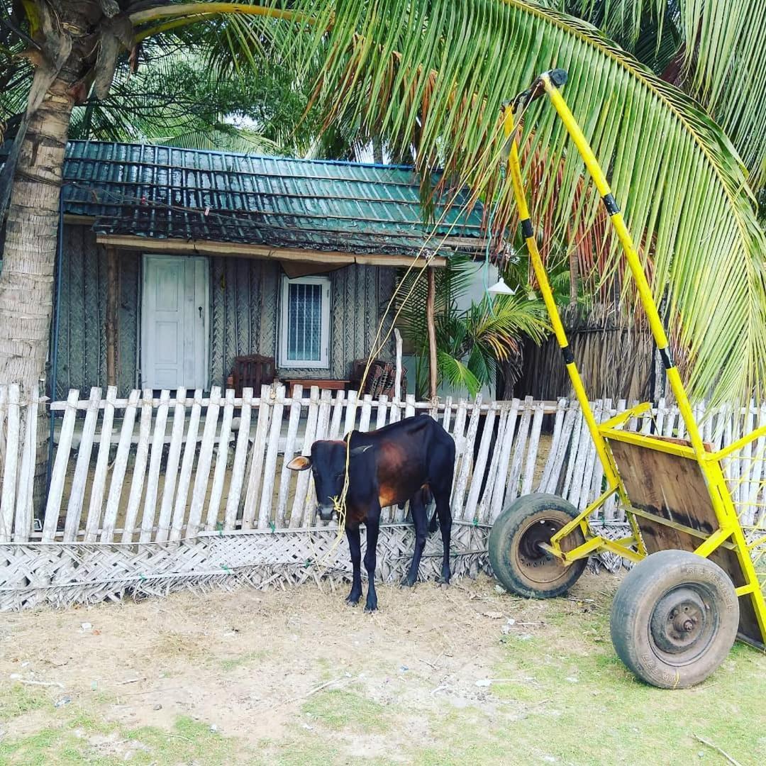 Kite Bay Villa คัลพิทิยา ภายนอก รูปภาพ